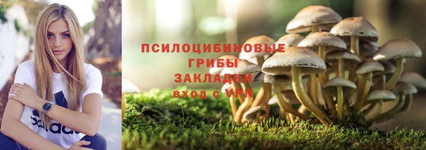хмурый Балабаново