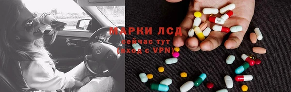 сатива Балахна
