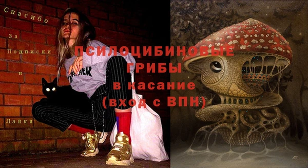 сатива Балахна