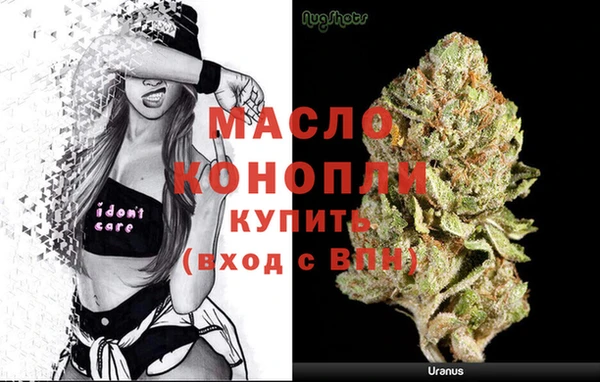 сатива Балахна