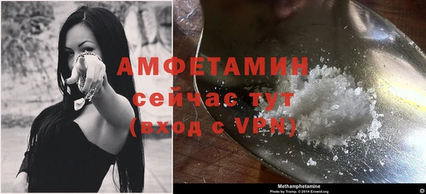 сатива Балахна
