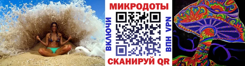 Галлюциногенные грибы Psilocybine cubensis  Видное 